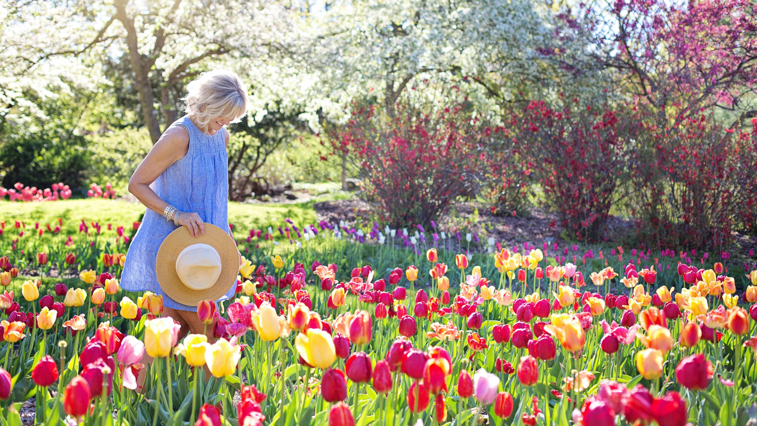 Digital Detox Made Easy: 6 Tools to Help You Unplug and Find Peace