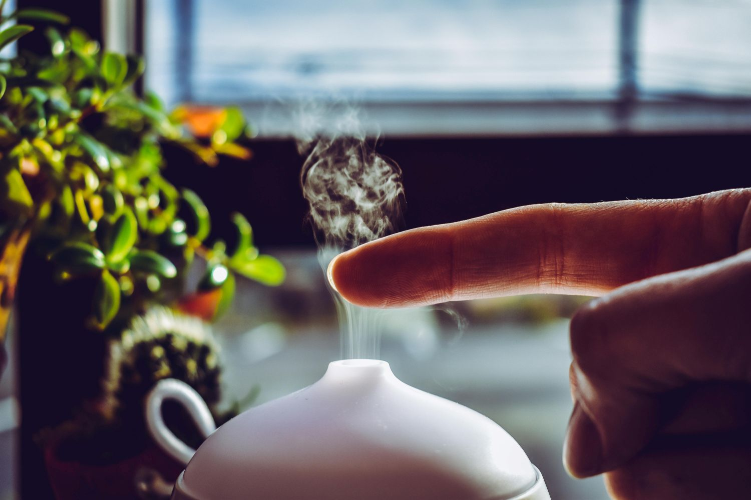 The Complete Guide to Using Essential Oils in Your Daily Life