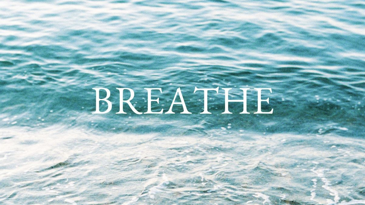 Simple Breathwork Routines for Everyday Stewardship and Calm